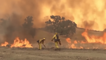 California lucha contra su mayor incendio forestal
