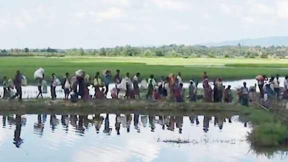 Rohingyas