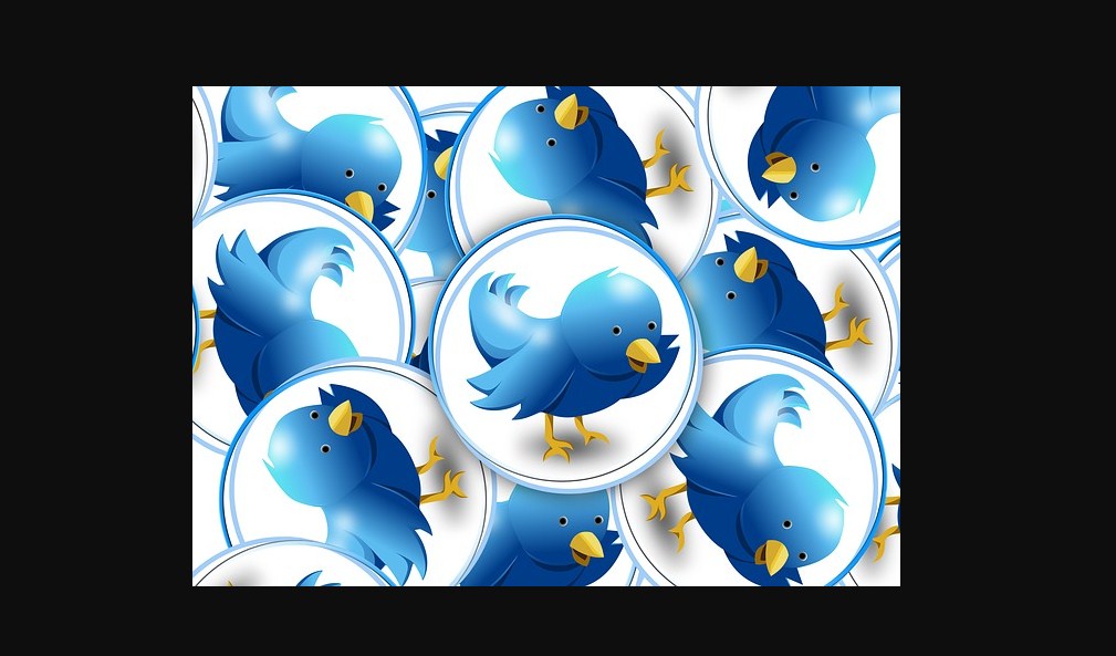 Twitter borró 9 millones de usuarios en ofensiva contra "bots" automatizados, spam y cuentas falsas .