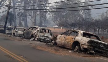 Más de 200 personas desaparecidas por incendios forestales en California