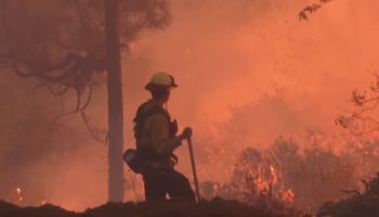 Al menos 56 muertos, 130 desaparecidos en incendio forestal más mortífero de California