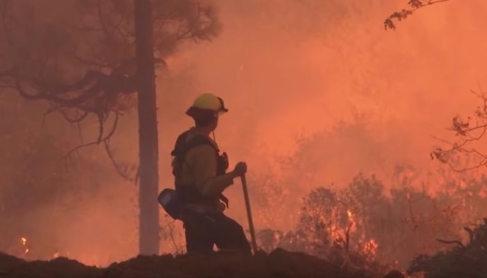 Al menos 56 muertos, 130 desaparecidos en incendio forestal más mortífero de California.