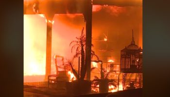 Incendios forestales de California: 9 muertos y más de 150.000 evacuados