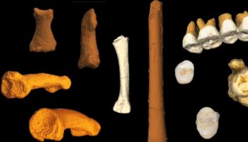 Fósiles de especies humanas extintas encontrados en una isla de Filipinas