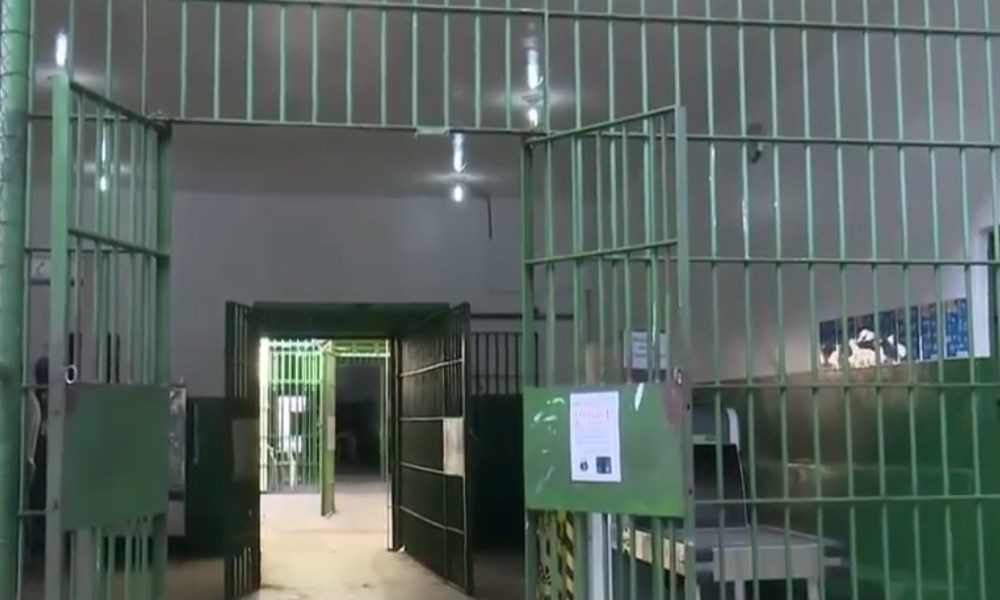 Decenas de presos encontrados muertos en prisiones de Brasil.