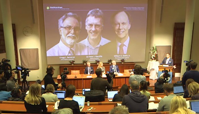 Investigadores de hipoxia ganan el Premio Nobel de Fisiología-Medicina.