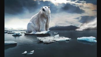 El mundo enfrenta una emergencia climática, dicen los científicos