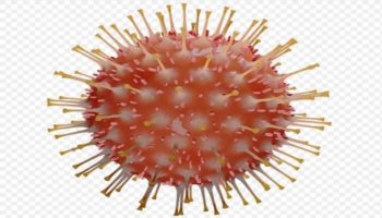 Texas informa más de 1,800 nuevos casos de coronavirus en 24 horas