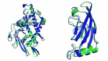 DeepMind asegura haber logrado la resolución de estructuras de proteínas en 3D