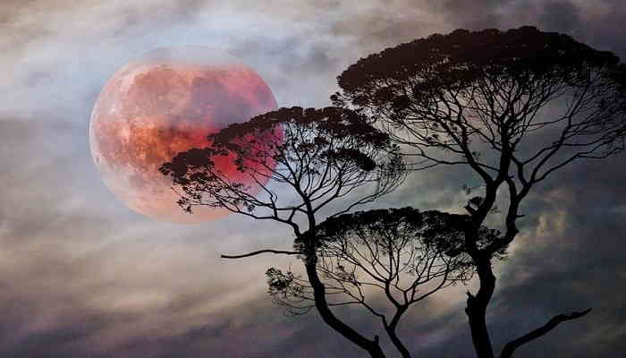 Cómo ver el eclipse lunar 'Super Luna de sangre de las flores'