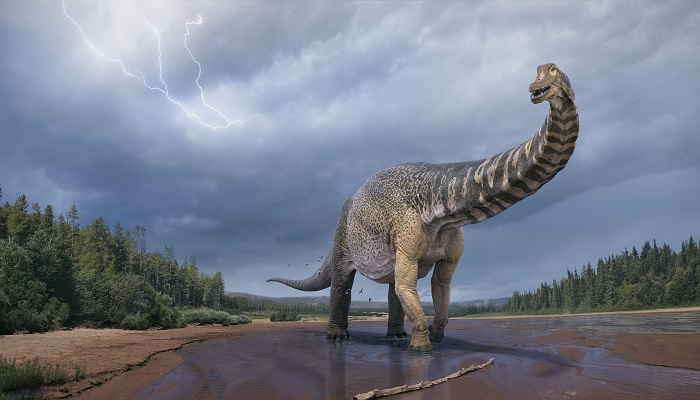 La especie de dinosaurio más grande jamás encontrada en Australia
