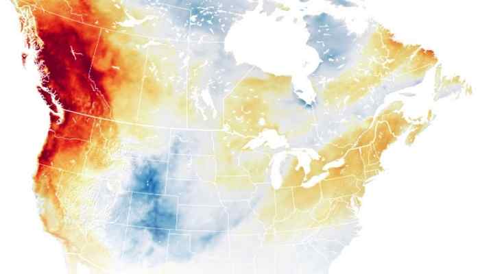 Histórica ola de calor deja cientos de muertos en Canadá y partes de EE. UU.