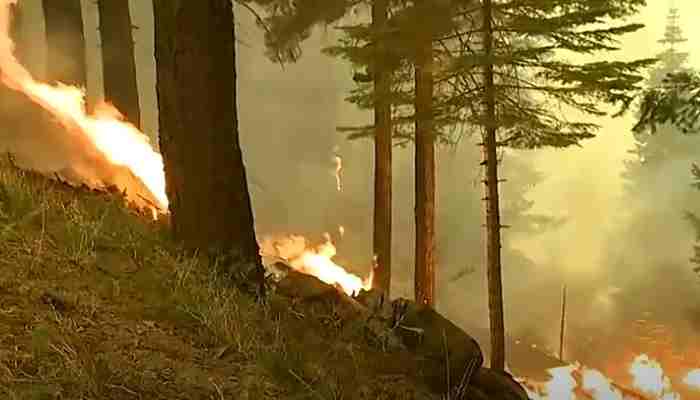 Dixie: tercer incendio forestal más grande de la historia de California
