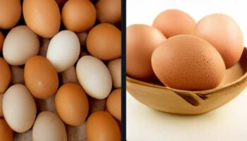 ¿Por qué los huevos están tan caros?