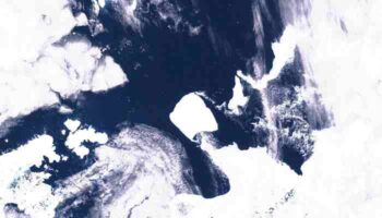 A23a, el iceberg más grande del mundo, a la deriva en las aguas antárticas