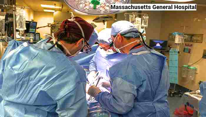 Riñón de cerdo genéticamente modificado trasplantado con éxito a un paciente en Boston